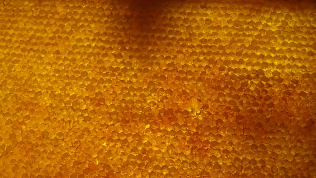 Beeswax vs Linseed Oil: Which Finish Is Best for Wooden Homeware?